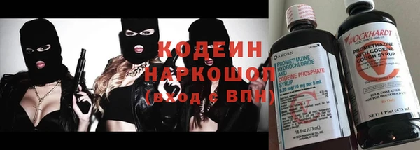 шишки Алзамай