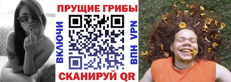 наркошоп  Каменногорск  мега рабочий сайт  Галлюциногенные грибы мицелий 
